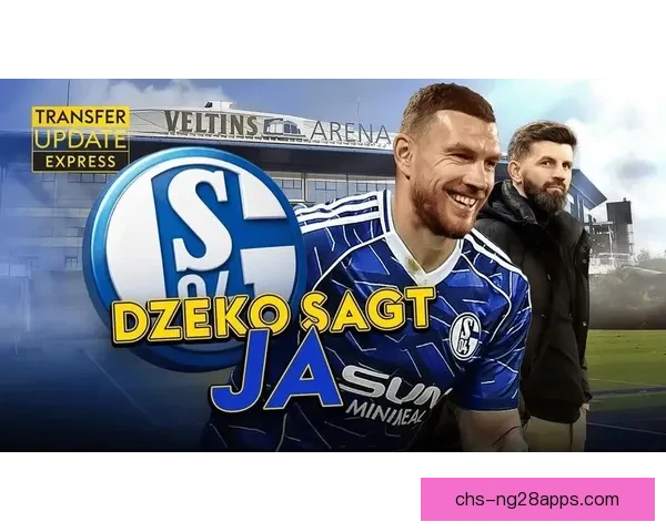 罗马诺沙尔克敲定39岁哲科加盟